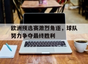 包含欧洲预选赛激烈角逐，球队努力争夺最终胜利的词条