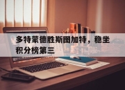 多特蒙德胜斯图加特，稳坐积分榜第三的简单介绍
