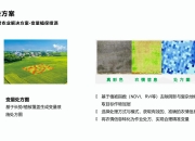 斯图加特主场险胜，保级形势稍有缓解的简单介绍